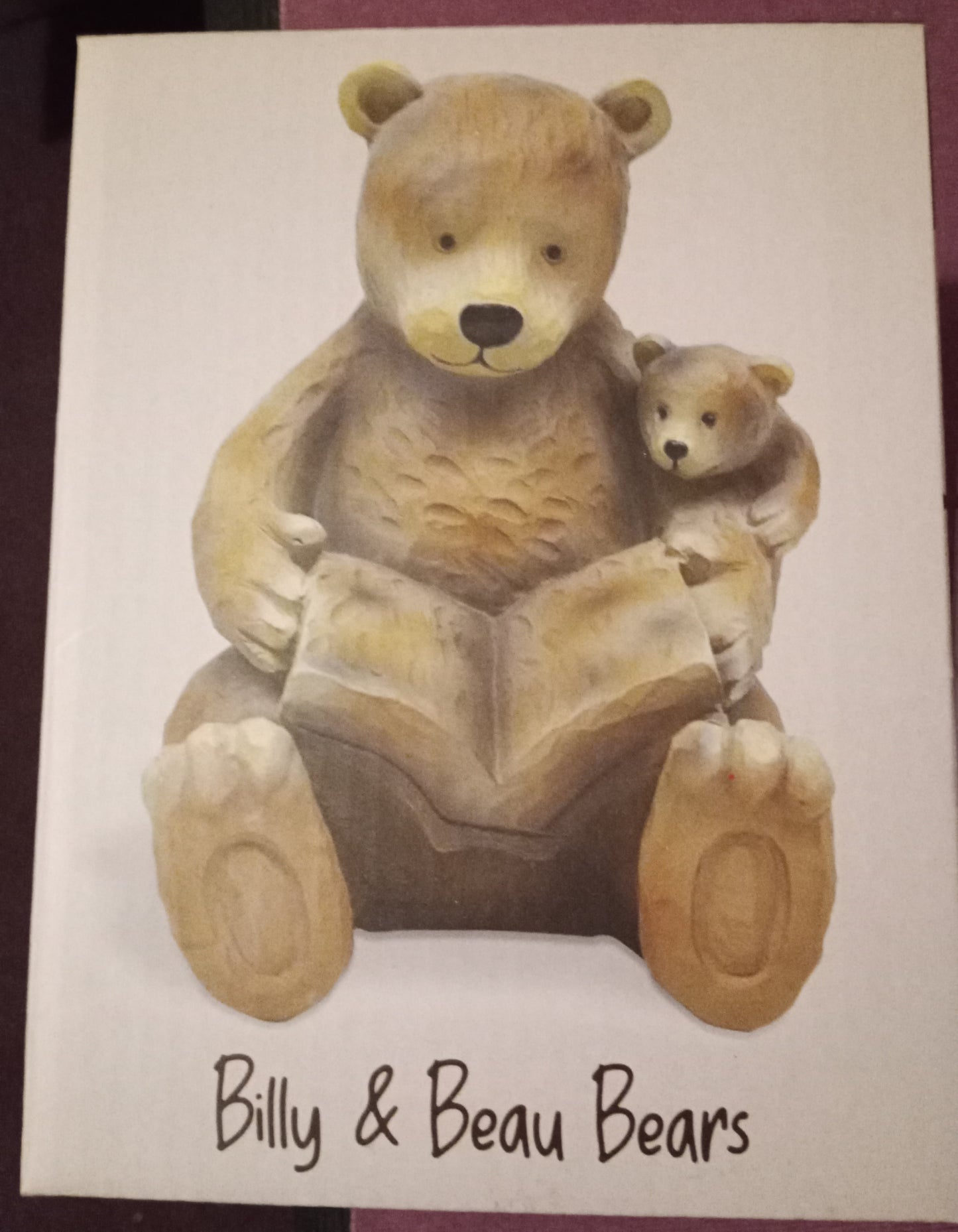 Billy & Beau Bear Reading Ornament