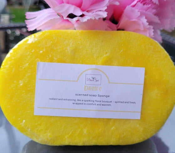 Soap Sponges - Various Scents